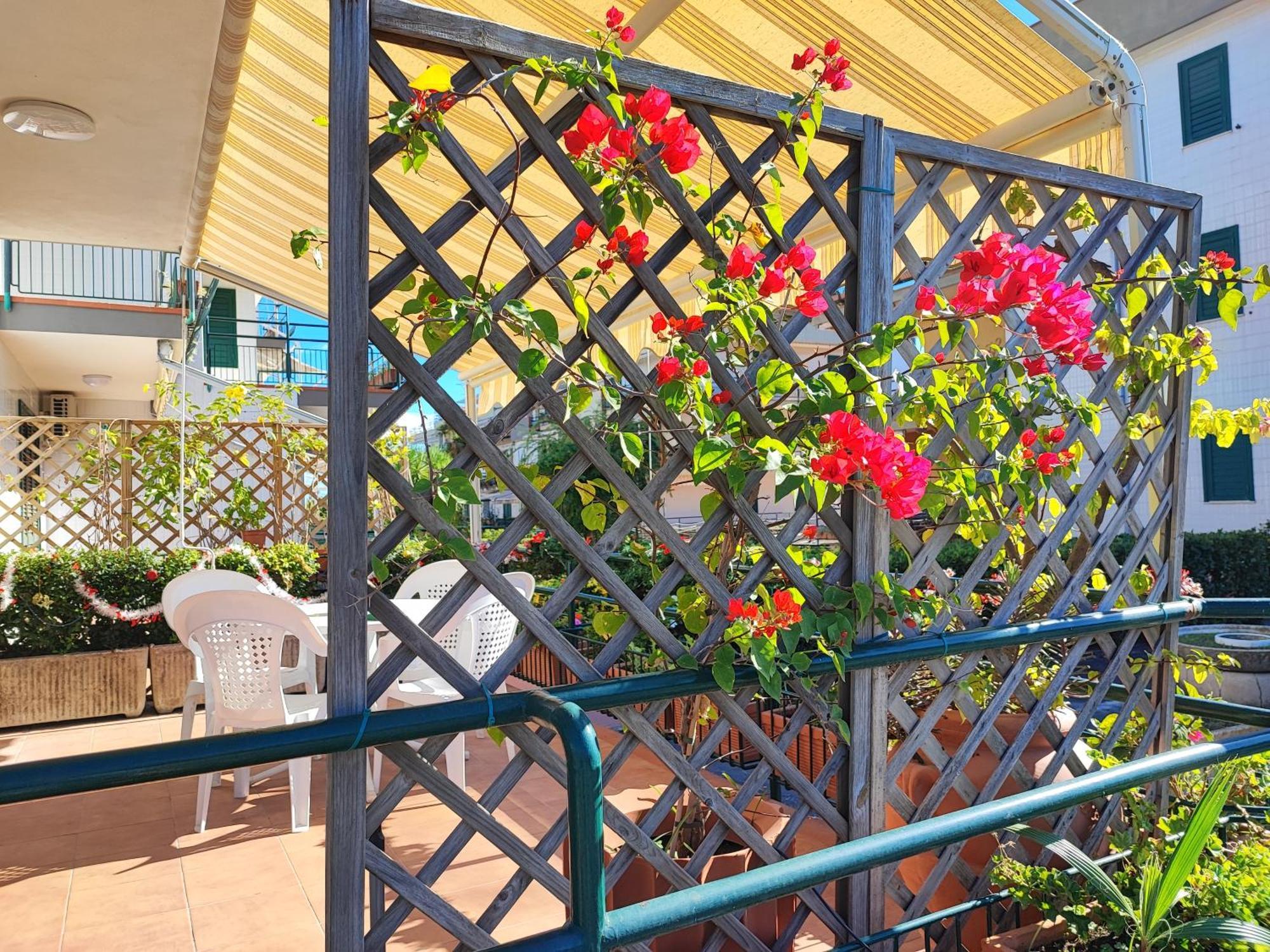Apartament Sea Garden, Fronte Mare Con Piscina Mascali Zewnętrze zdjęcie